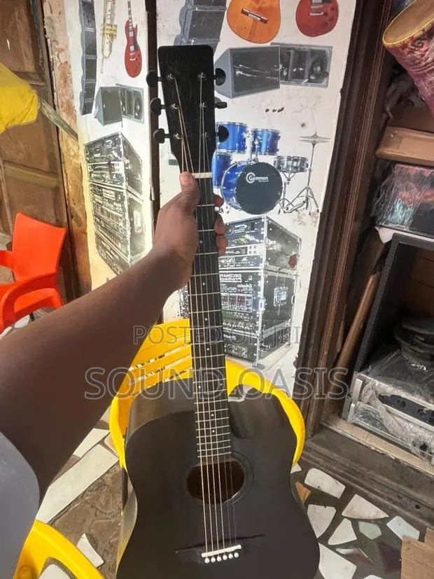 Stringberg Six Strings Semi Acoustic Guitar(Black) · Photo 1