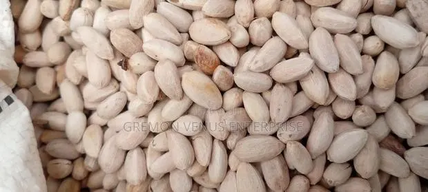 Neem Seeds · Photo 1