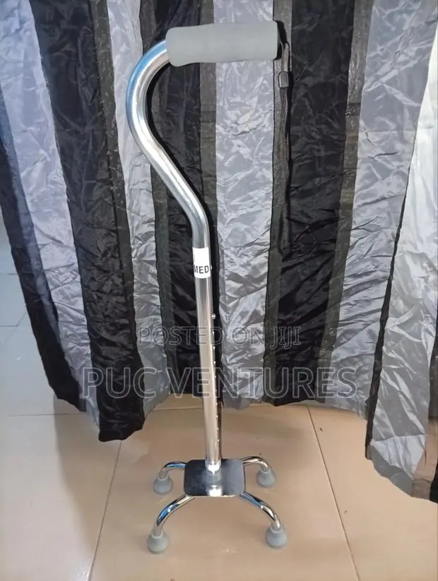 Quan Cane (Walking Stick With 4 Legs) · Photo 1