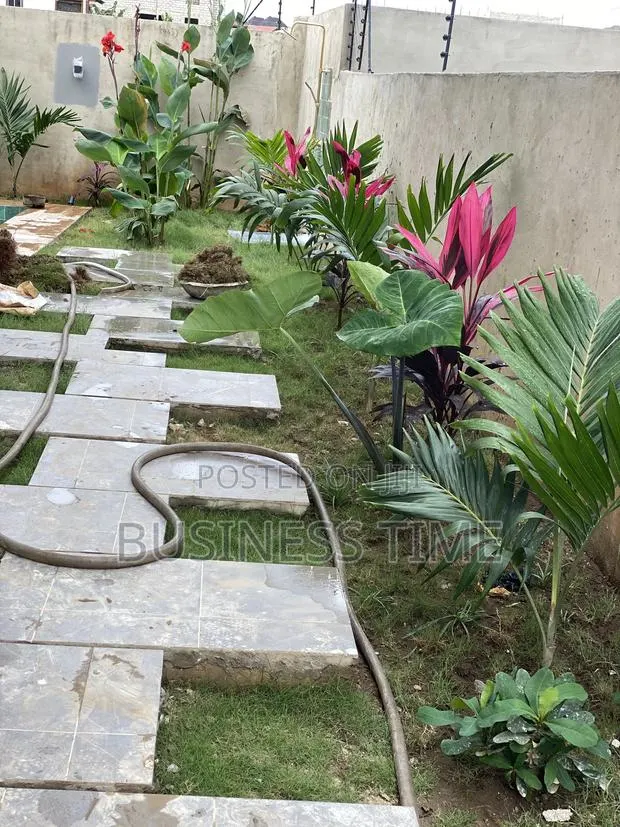 Garden and Landscaping · Photo 1