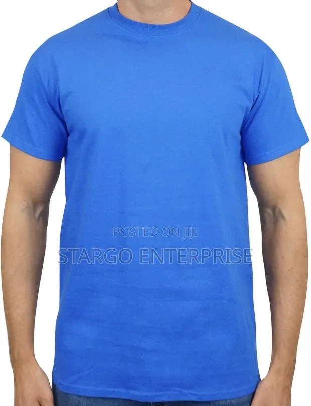 Royal Blue Gildan T-Shirt · Photo 1