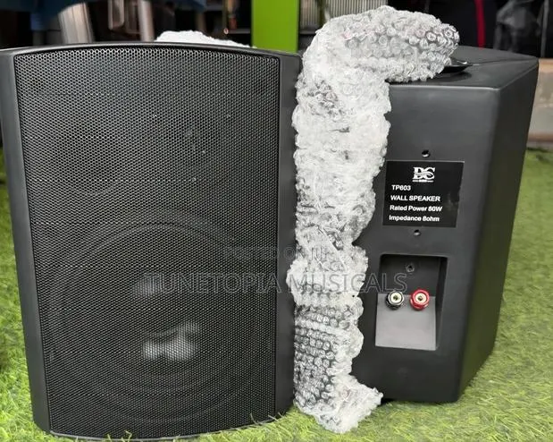 Ds Audio Tp603 Passive Wall Mount Speaker · Photo 1