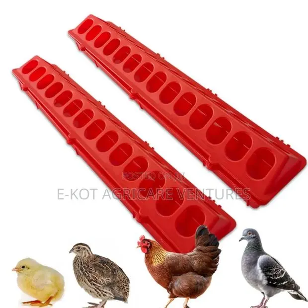 Chicken Feeder Line · Photo 1