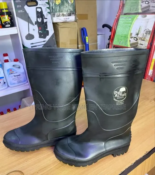 Wellington Boot · Photo 1