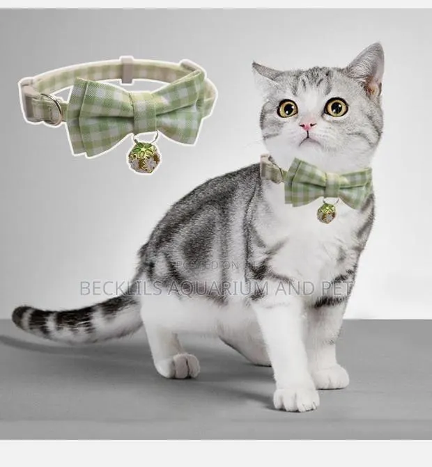 Adjustable Neck Collars for Cat · Photo 1