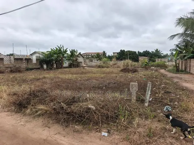 2 Plots of Land · Photo 1