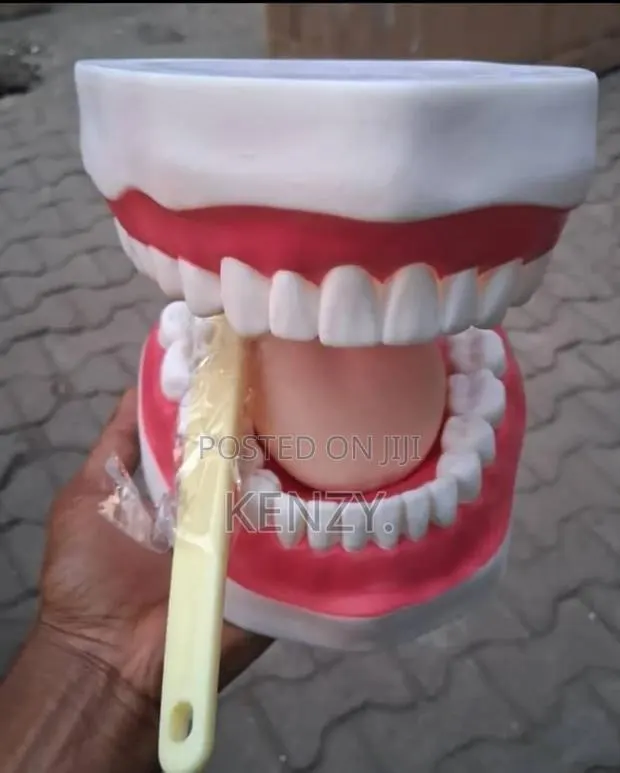 Dental Teeth · Photo 1