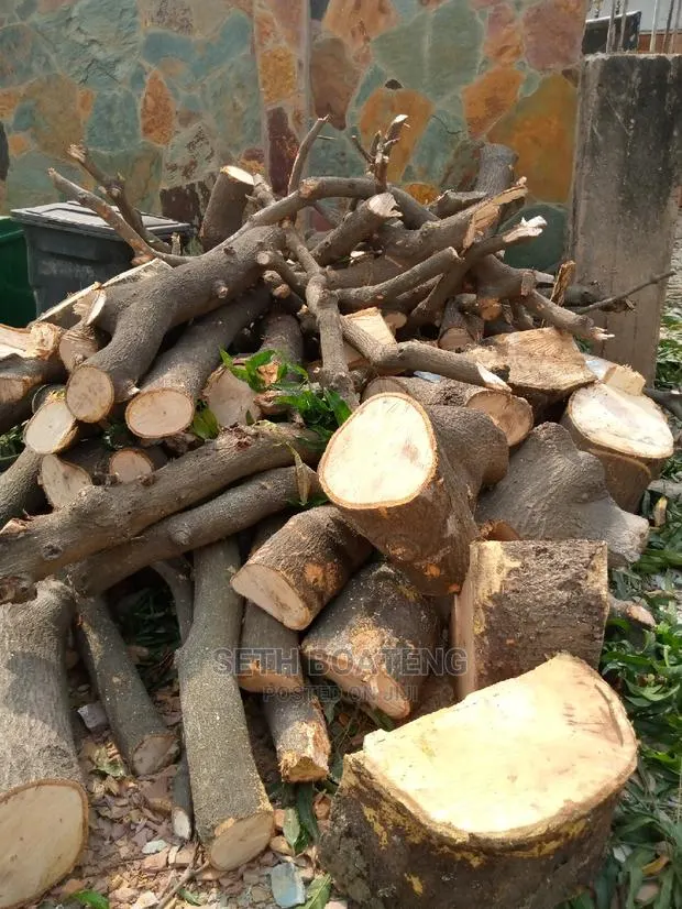 Tree Cutters · Photo 1