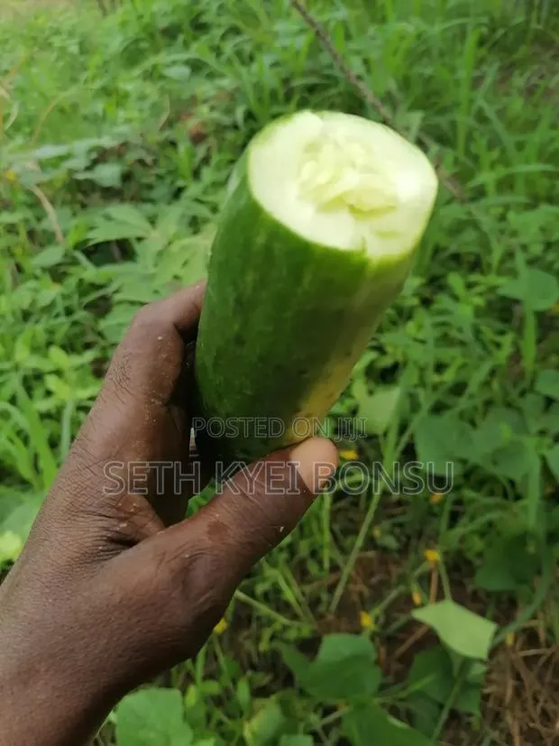 Cacumber 95% Organic · Photo 1