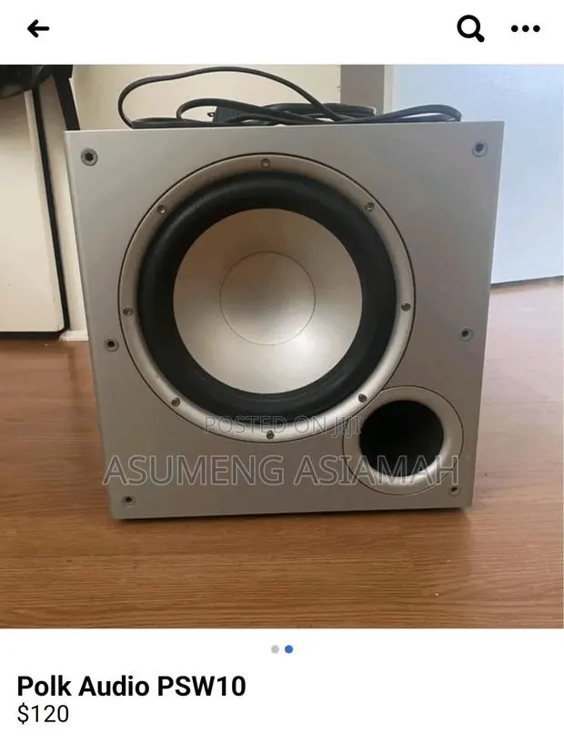 Polk Audio Paw 100 · Photo 1