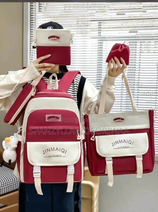5in1 Laptop Bag · Photo 1