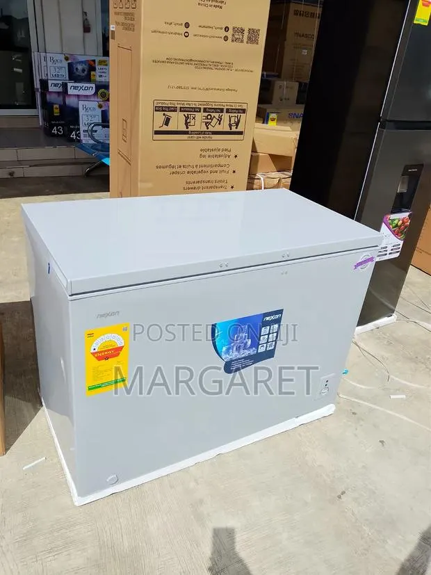Original Roch 254 Litters Chest Freezer With Low Energy Consumption · Photo 1