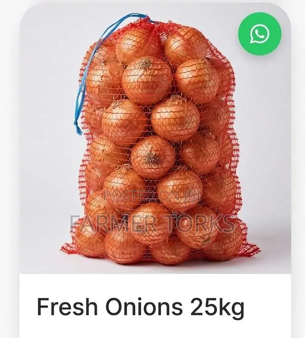 Fresh Onion 25kg · Photo 1
