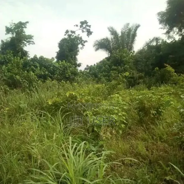 Farm Land for Long Lease · Photo 1