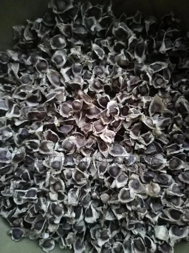 Moringa Seeds · Photo 1