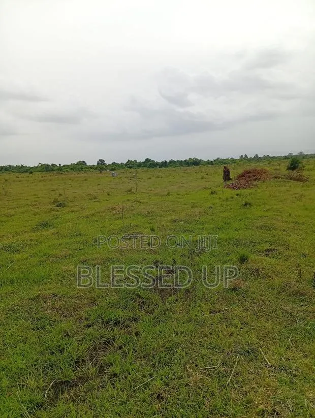 1 PLOT Inside Winneba Town Hall, Gomoa Mpota, Potsin , Gomoa Fetteh · Photo 1