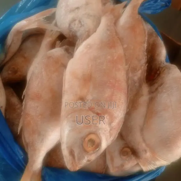 Red Fish 10kg Box · Photo 1