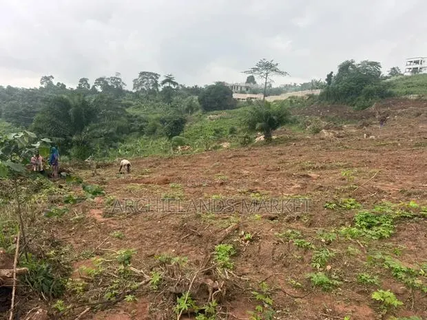 Konkonuru Land for Sale · Photo 1