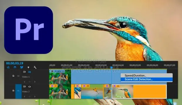 Adobe Premiere Pro 2026 (Full Version) Mac and Windows · Photo 2