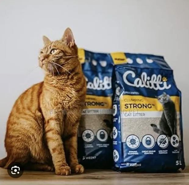 Quality Cat Litter Sand · Photo 1