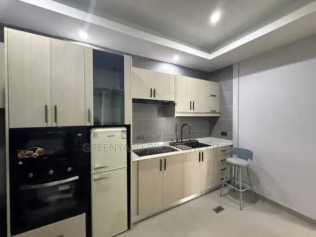 Furnished 1bdrm Apartment in East Legon for rent · Photo 1