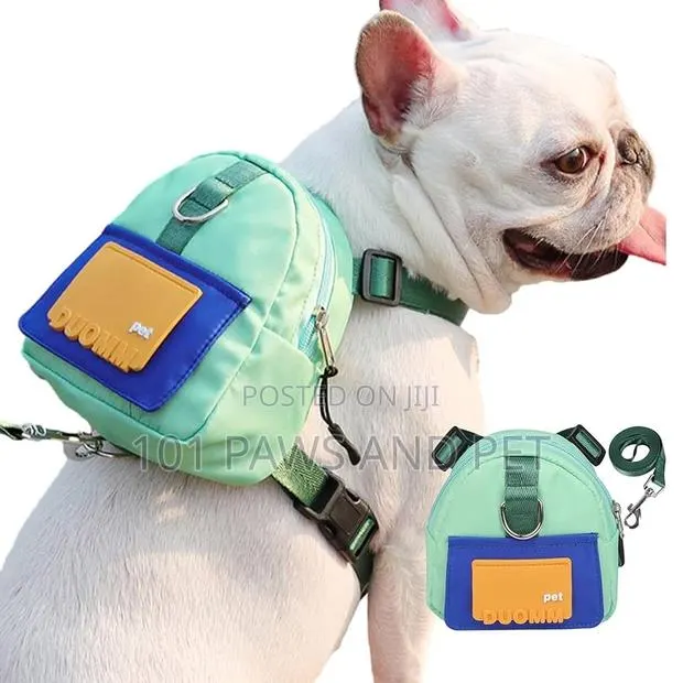 Dog Harness With Cute Backpack · Photo 1