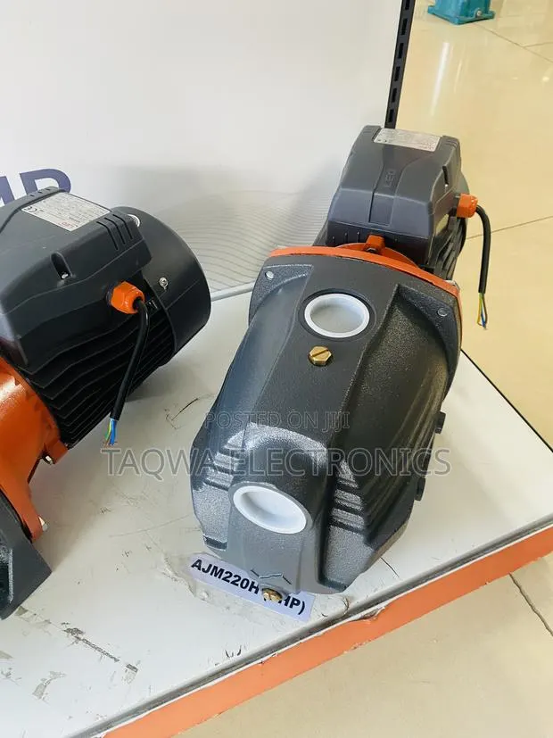 Purchase the 3hp Leo Cast Pump (Ajm220h) · Photo 1