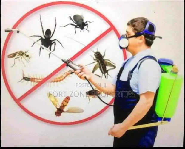 Apatrapa,Pokukrim,Asuo Yeboah,Tanoso Fumigation Services · Photo 1