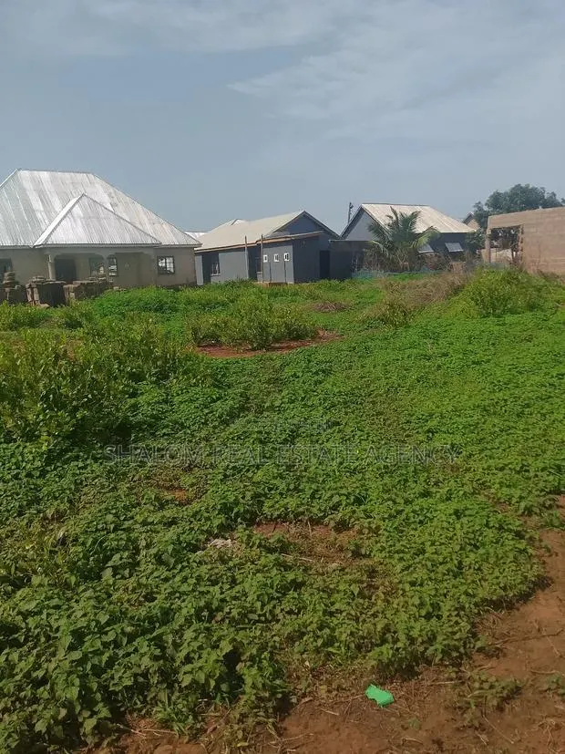A Nice Plot of Land at Dimale for Sale