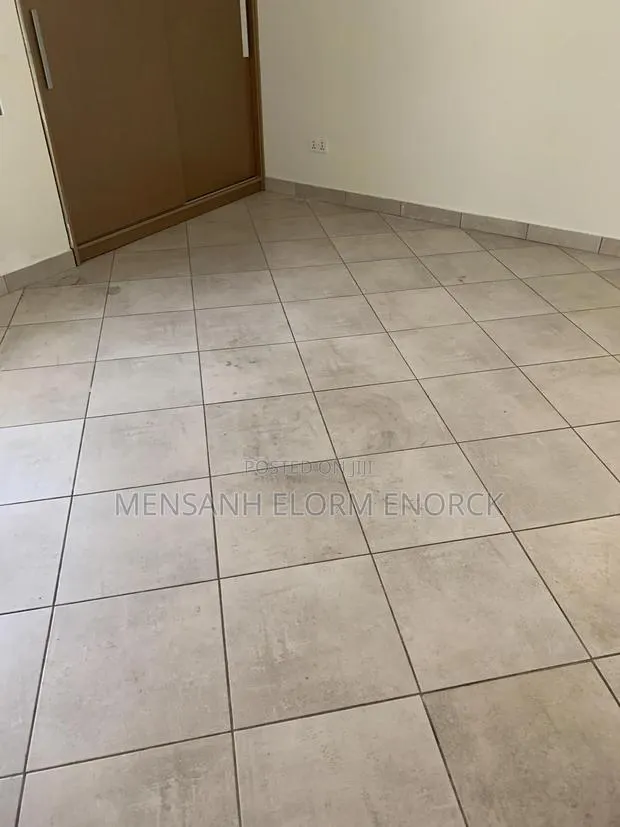 Professional Tiler · Photo 1