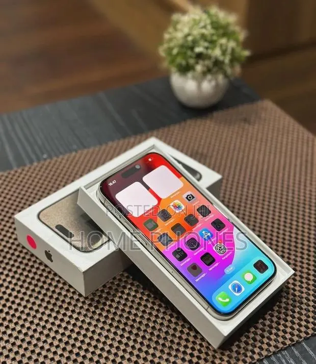 Apple iPhone 15 Pro Max 256 GB Silver · Photo 1