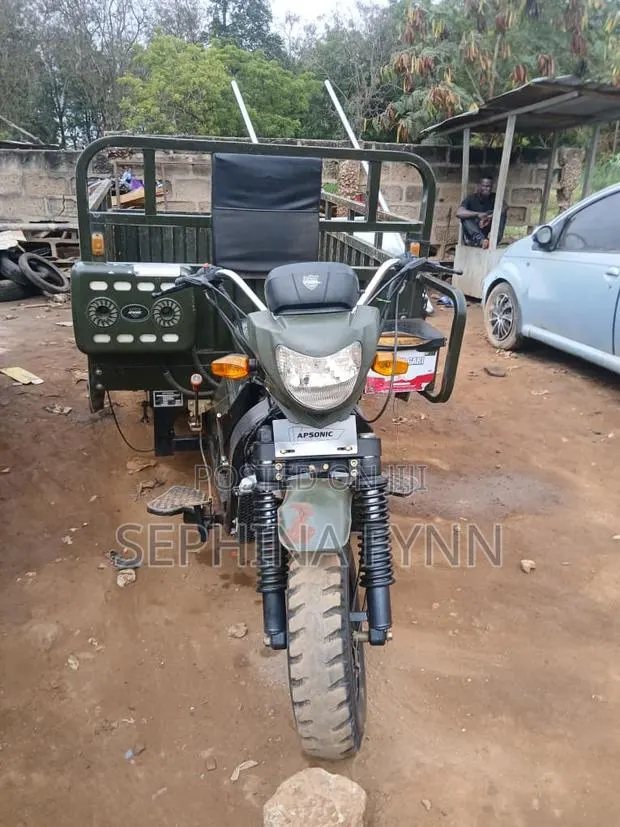Apsonic AP150ZH-200 2024 Green · Photo 2