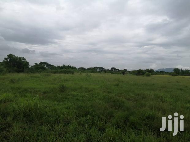 10.000+ Acres of Farm Land for Long Term Lease · Photo 2