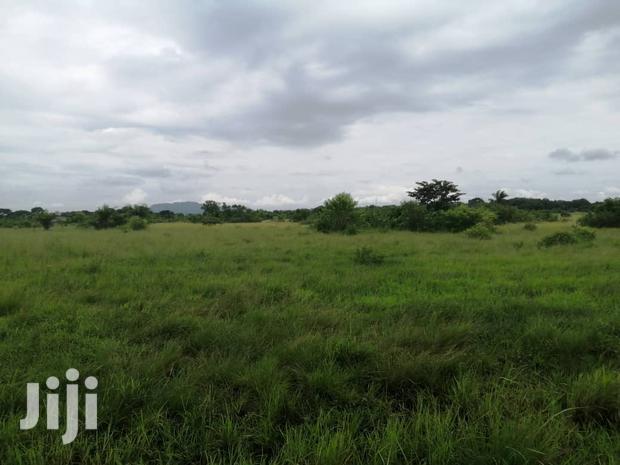 10.000+ Acres of Farm Land for Long Term Lease · Photo 3