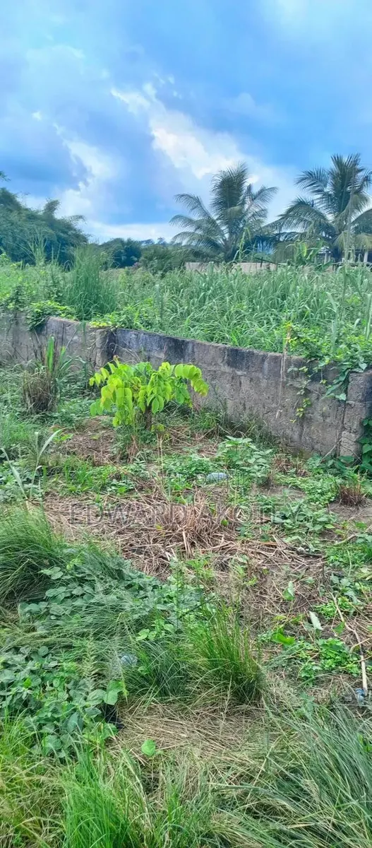 Land for Sale at UHAS Roundabout Off to the Main Campus · Photo 1