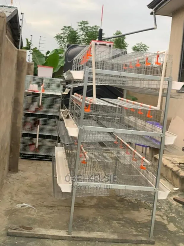 Galvanized Cages · Photo 1