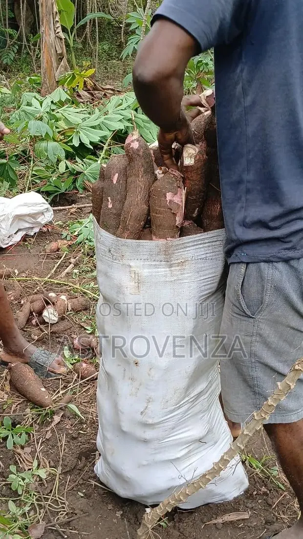 Cassava 75kg · Photo 1