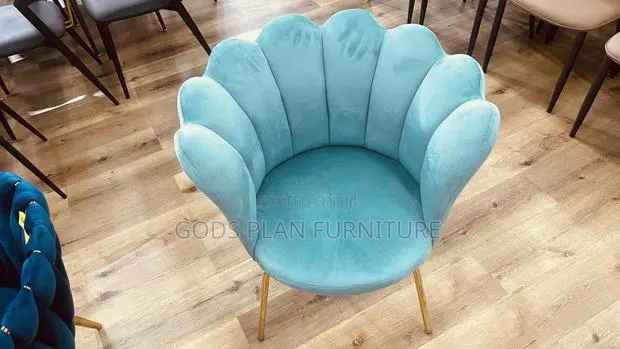 Velvet Accent Chair (A-23) · Photo 1