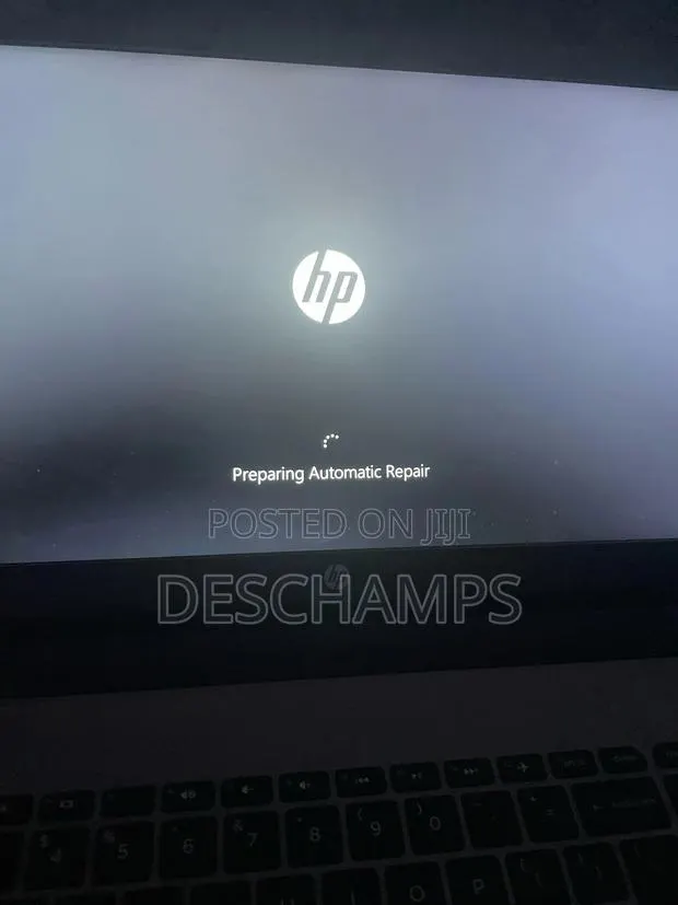 Preparing Automatic Repair Screen Problem · Photo 1