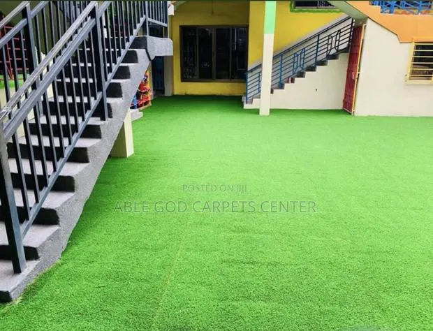 Thick Carpet Grass · Photo 1