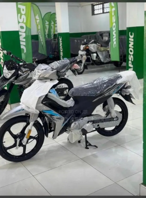New Apsonic AP110 2025 Silver · Photo 1