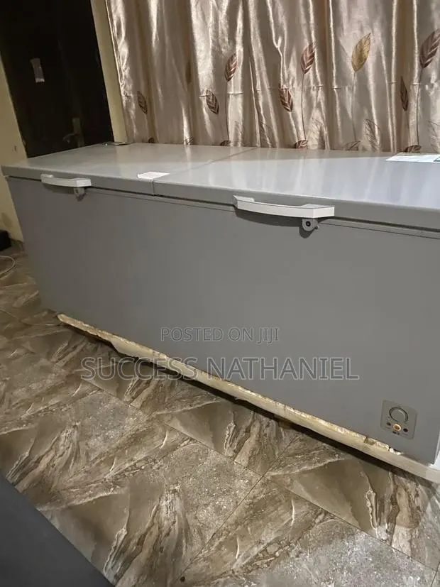 Hisense 725L Double Door Chest Freezer · Photo 1