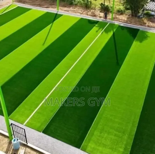 Astro Turf (Artificial Green Grass) · Photo 1