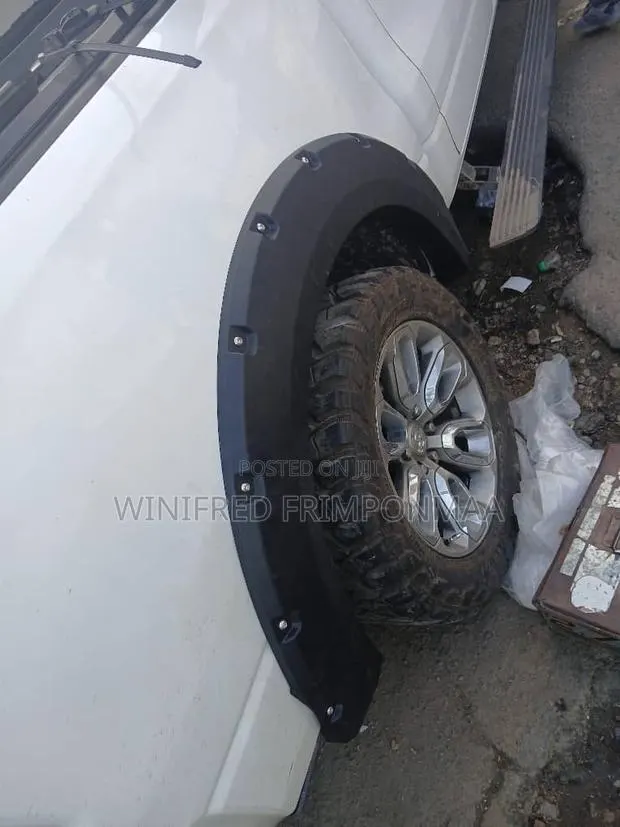 Dodge Ram 2016,2017,2018 Fender Moulding · Photo 1