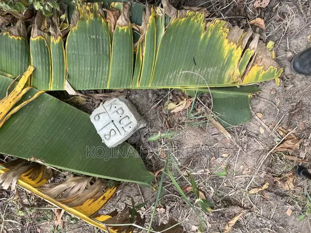 Land for Sale · Photo 1