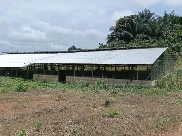 Poultry Farm for Sale ( Near Anwiankwata,Obuasi) · Photo 1