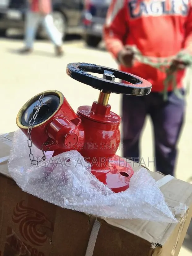 Fire Hydrant Landing Valve Single Outlet. · Photo 1