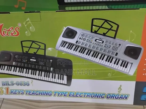 Electronic Organ · Photo 1