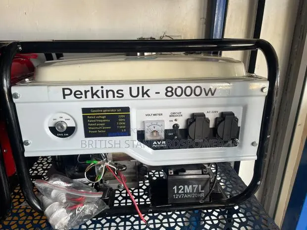 Home Power Solutuon 7.0kva Perkins Petrol Generator · Photo 1