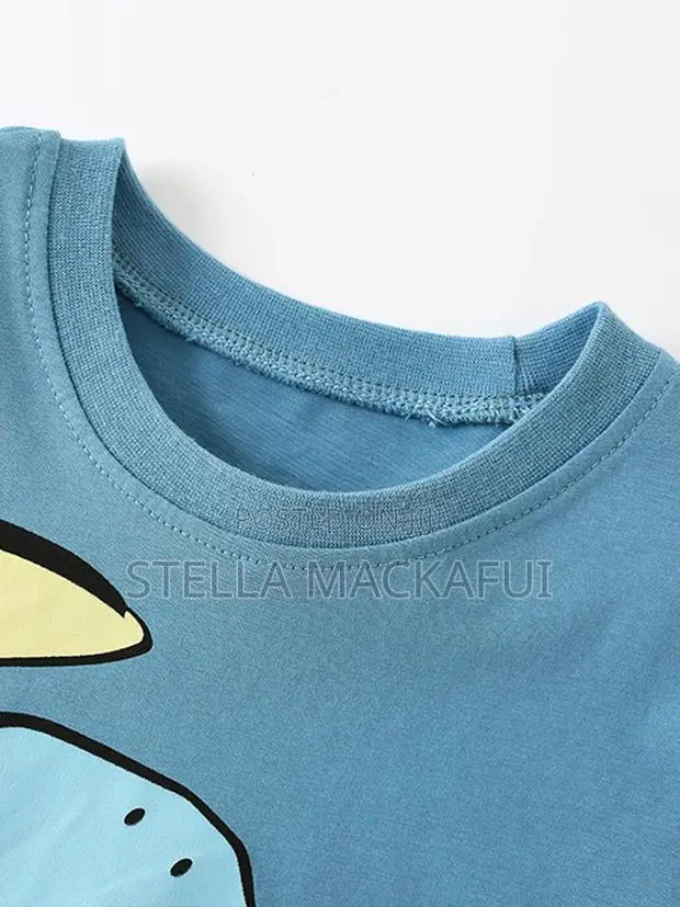 Beautiful T-Shirt for 4-6yrs Only · Photo 2